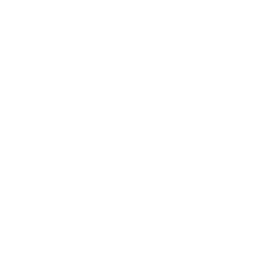 IBM Logo